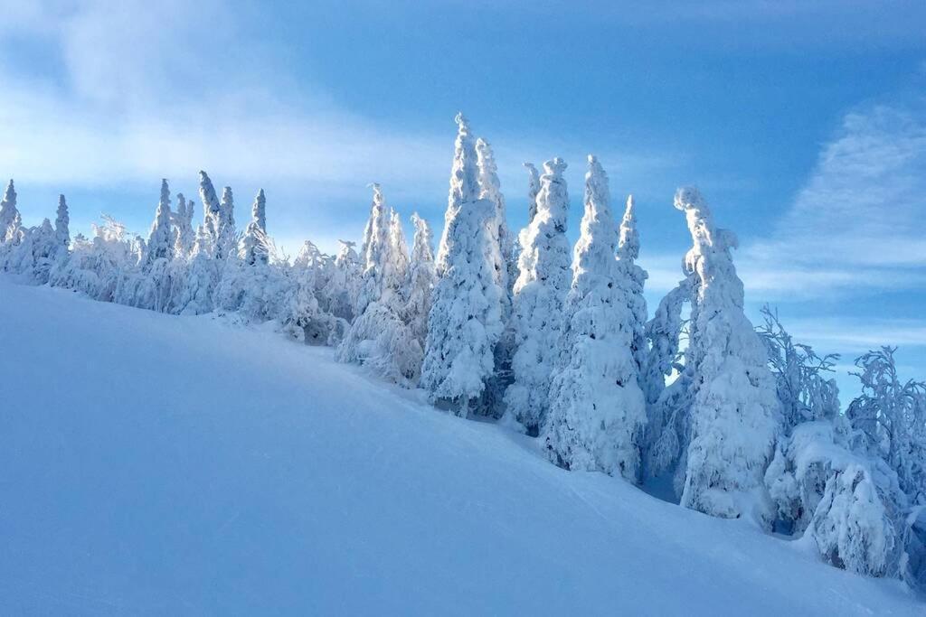 Apartamento The MountainSide by Escapades Tremblant Mont-Tremblant Exterior foto